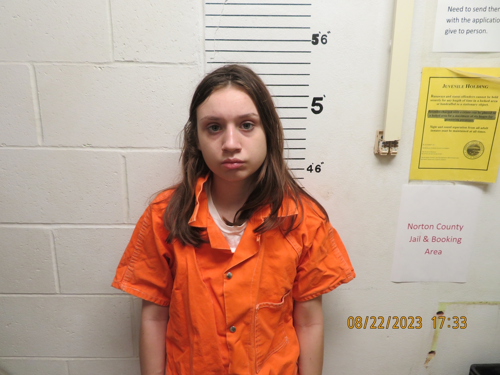 Official site for Norton County Kansas Inmates